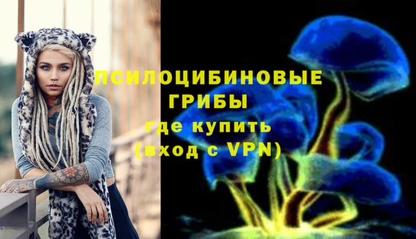 СК Ладушкин