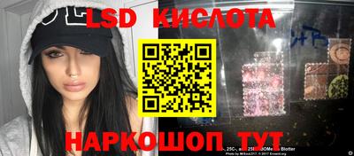 прущие грибы Бийск