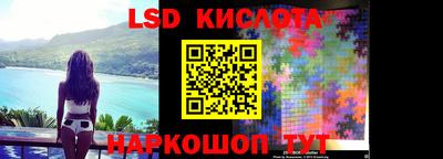 стафф Бийск