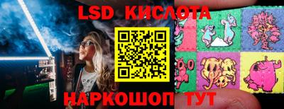 прущие грибы Бийск