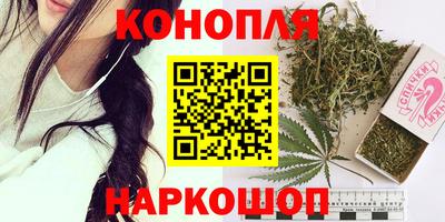 прущие грибы Бийск