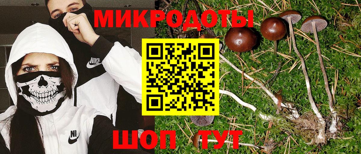 Псилоцибиновые грибы Magic Shrooms Димитровград