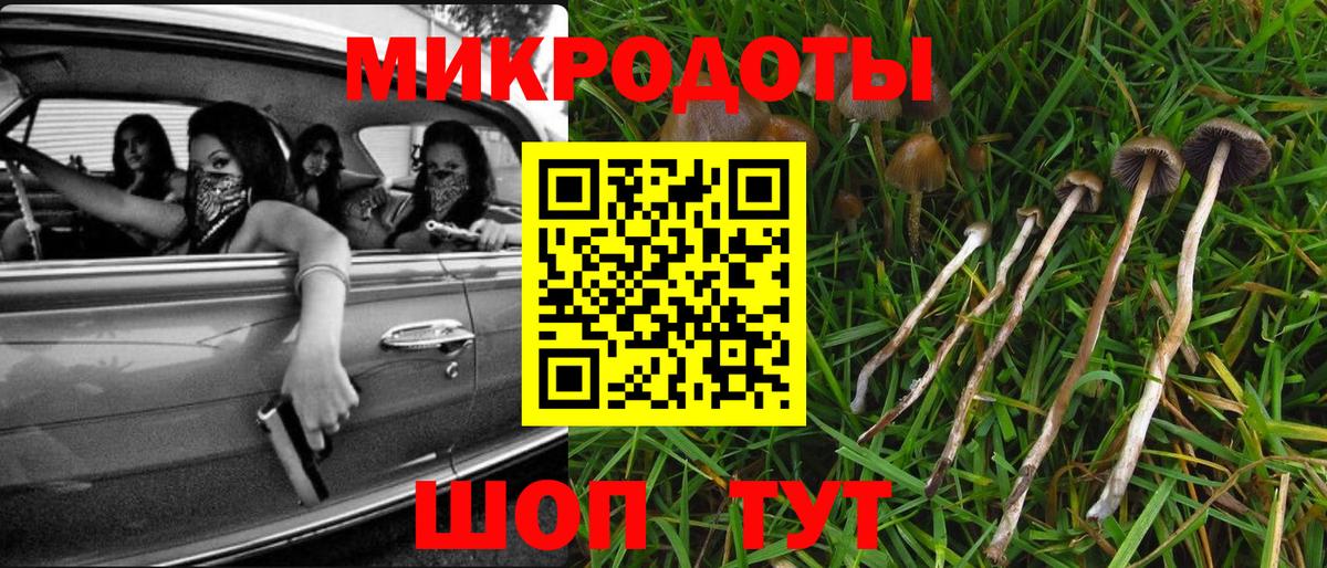Галлюциногенные грибы мухоморы Димитровград