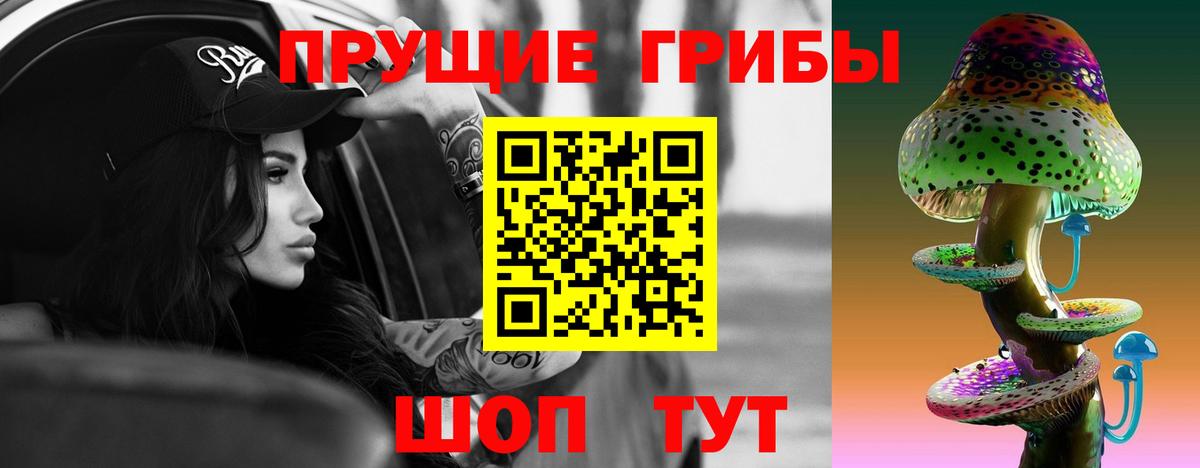 где купить наркотик  Димитровград  Псилоцибиновые грибы прущие грибы 